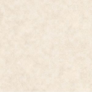 EMBRAMACO 60X60 MEHRO BEIGE 61/1115  ( 2,58 CX ) LOTE 14/06/21