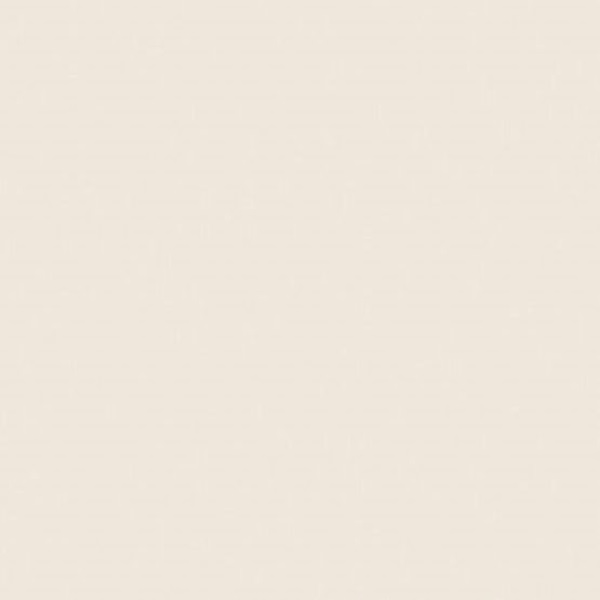 EMBRAMACO 60X60 61936 ABSOLUTE CREAM ( 2,58 CX ) LOTE 17/02/22