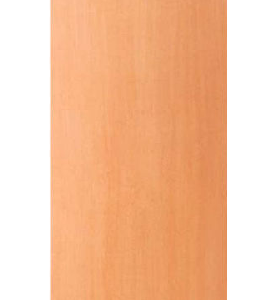ALVORADA PORTA PINTURA  070 X 210