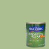 EUCATEX REND. EXTRA 3,6L VERDE KIWI