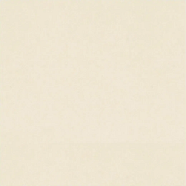 PORTINARI 60X60 CRISTAL POLIDO 9530 ( 1,43 CX ) LOTE 19/08/18