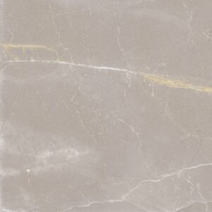 LEF 54X54 VA54108 GALILEU GRIS AC RET ( 2,60 CX ) TONALIDADE 220