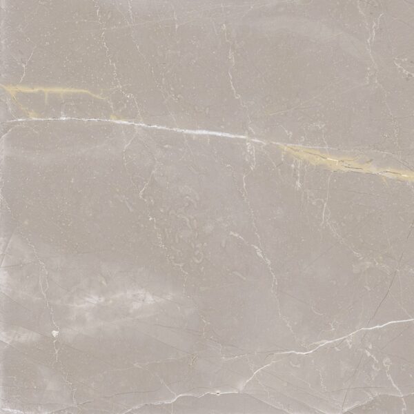 LEF 54X54 VA54108 GALILEU GRIS AC RET ( 2,60 CX ) TONALIDADE 220