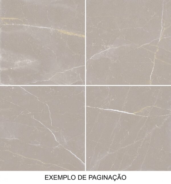 LEF 54X54 VA54108 GALILEU GRIS AC RET ( 2,60 CX ) TONALIDADE 220 - Image 2