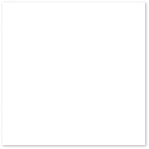 LEF 57X57 LF59190 BRANCO NEVE BRILHANTE ( 2,30 CX ) TONALIDADE 276