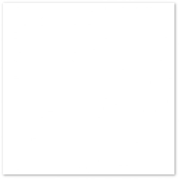LEF 57X57 LF59190 BRANCO NEVE BRILHANTE ( 2,30 CX ) TONALIDADE 276