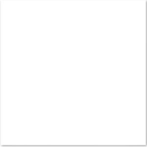 LEF 44X44 LF44502 BRANCO NEVE BRILHO ( 2,50 CX ) TONALIDADE 662