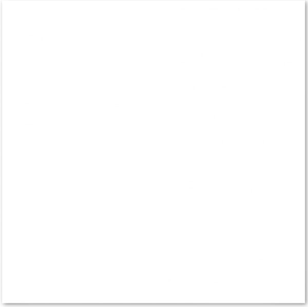 LEF 44X44 LF44502 BRANCO NEVE BRILHO ( 2,50 CX ) TONALIDADE 662