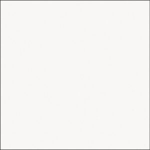 EMBRAMACO 60X60 GRAN WHITE ABSOLUTE RT60502 - ( 2,52 CX ) LOTE 02/10/24