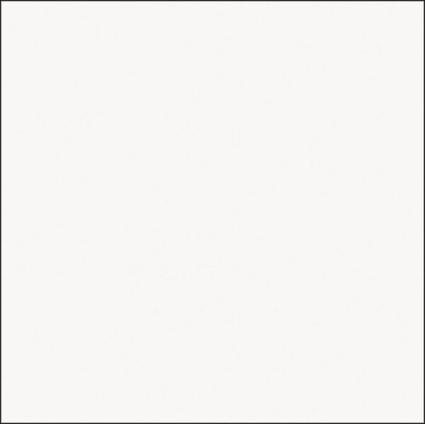 EMBRAMACO 60X60 GRAN WHITE ABSOLUTE RT60502 - ( 2,52 CX ) LOTE 02/10/24